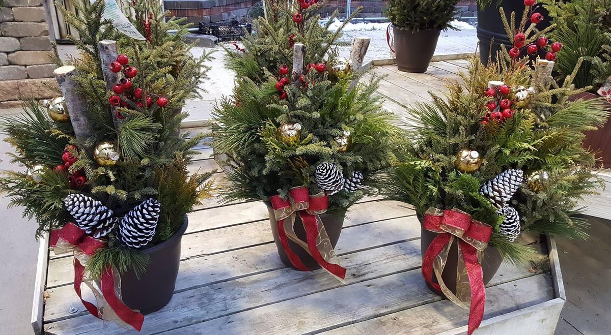 FULL- Winter porch planter. Cost $35