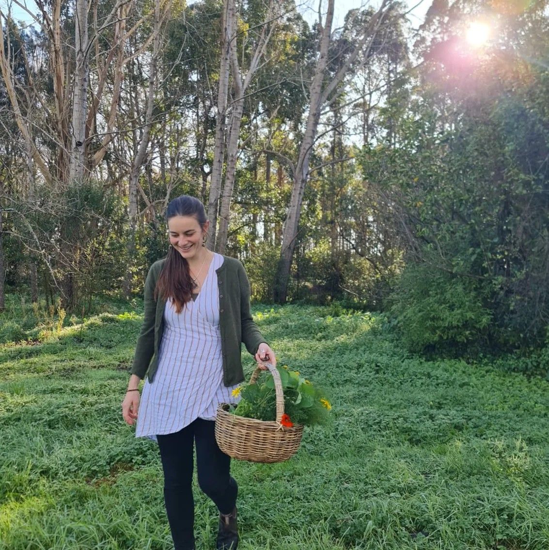 Foraging workshop 