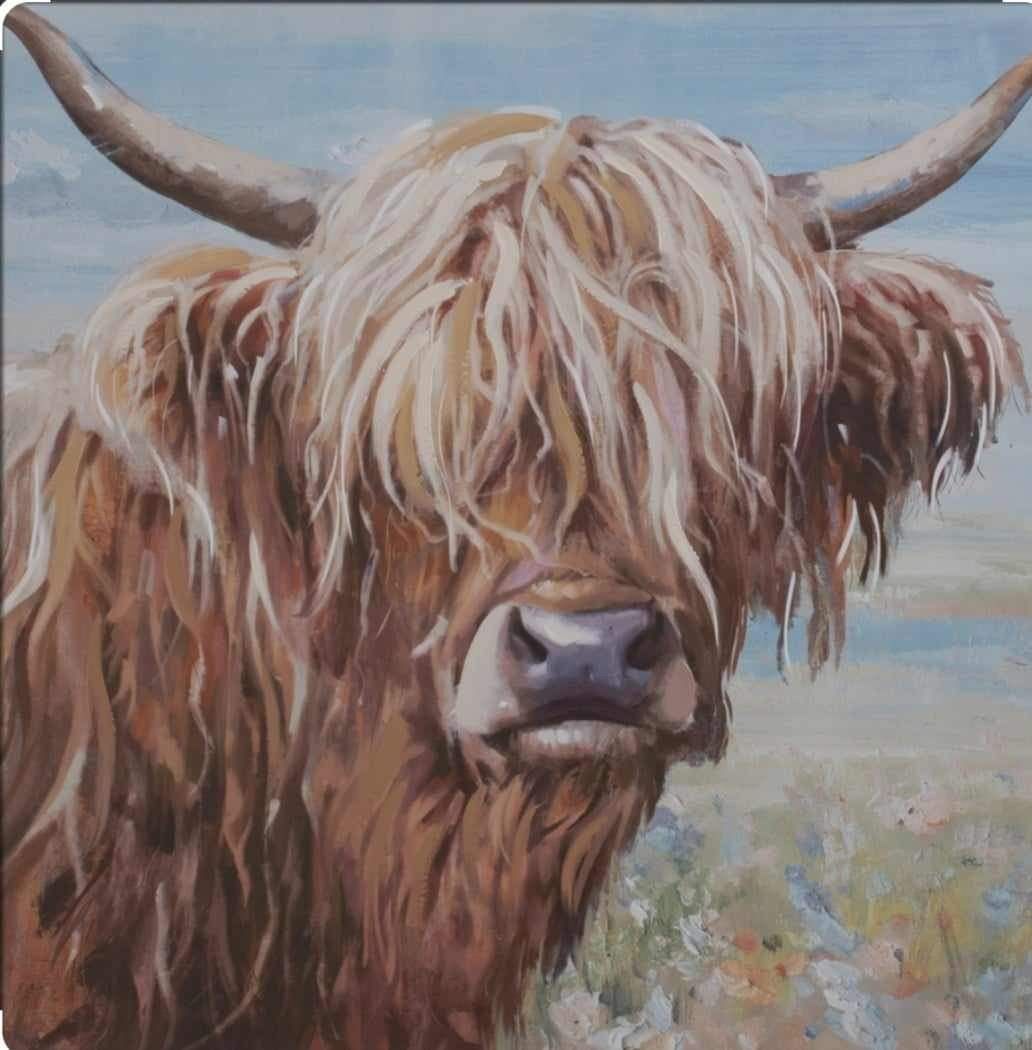 Oil Painting- Highland Cow 