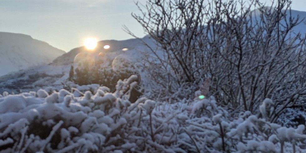 Welcoming in the Winter Solstice - Dawn Gong Bath