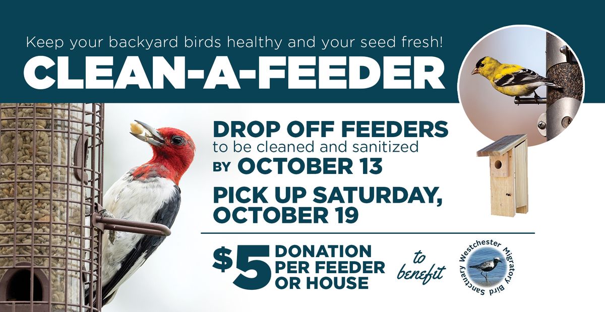 CLEAN-A-FEEDER