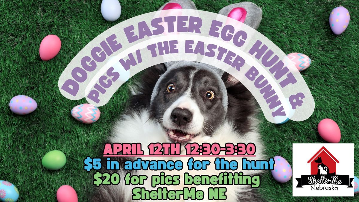 Doggie Easter Egg Hunt