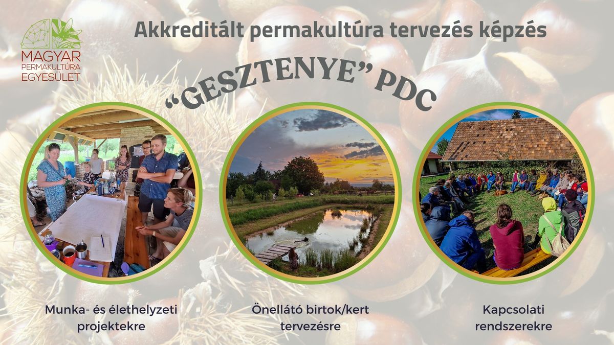 MAPER GESZTENYE PDC