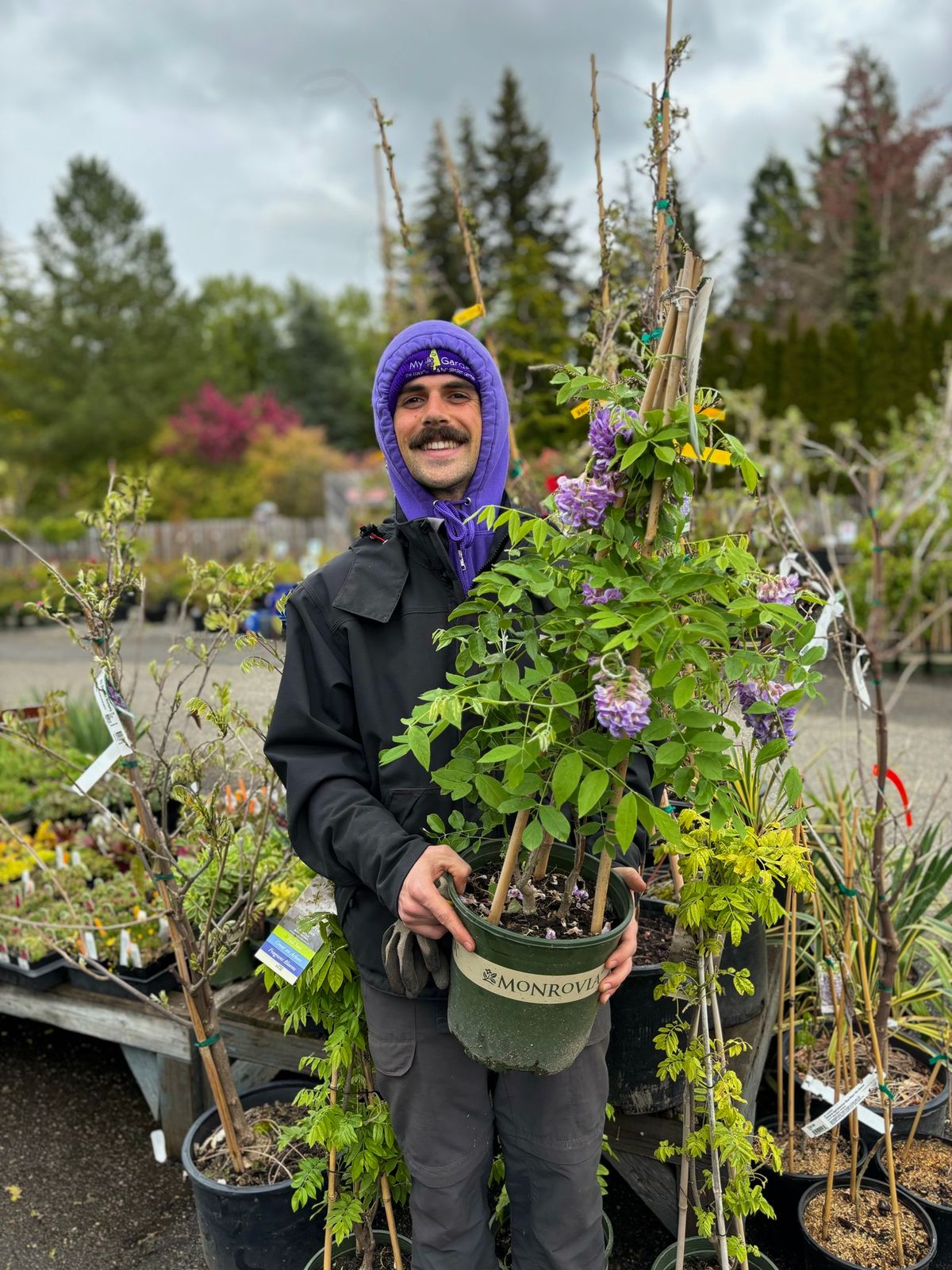 Intertwine your Garden with Vines by Larry Clark