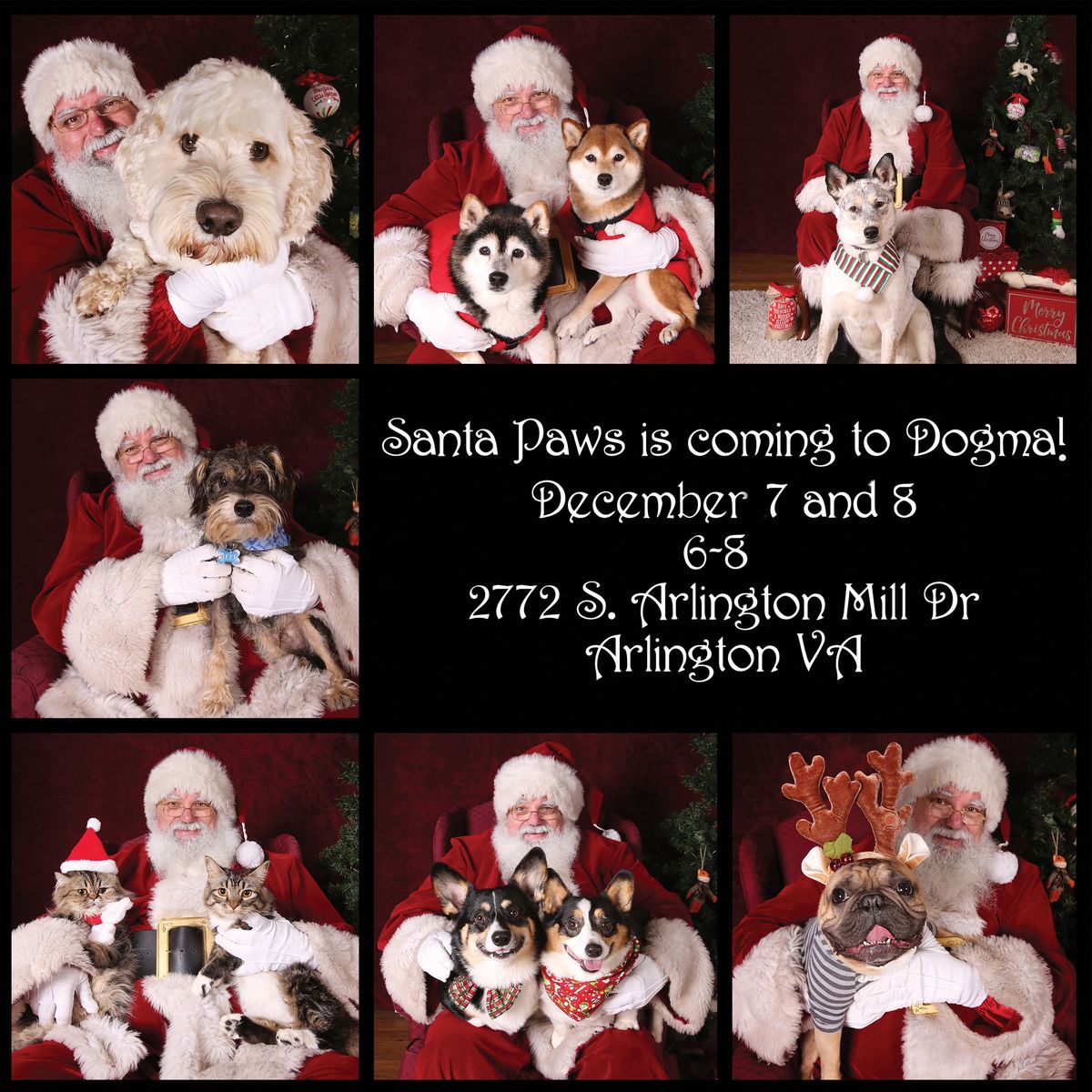 15th Annual Santa Paws Photos - Benefitting Animal Welfare League of Arlington