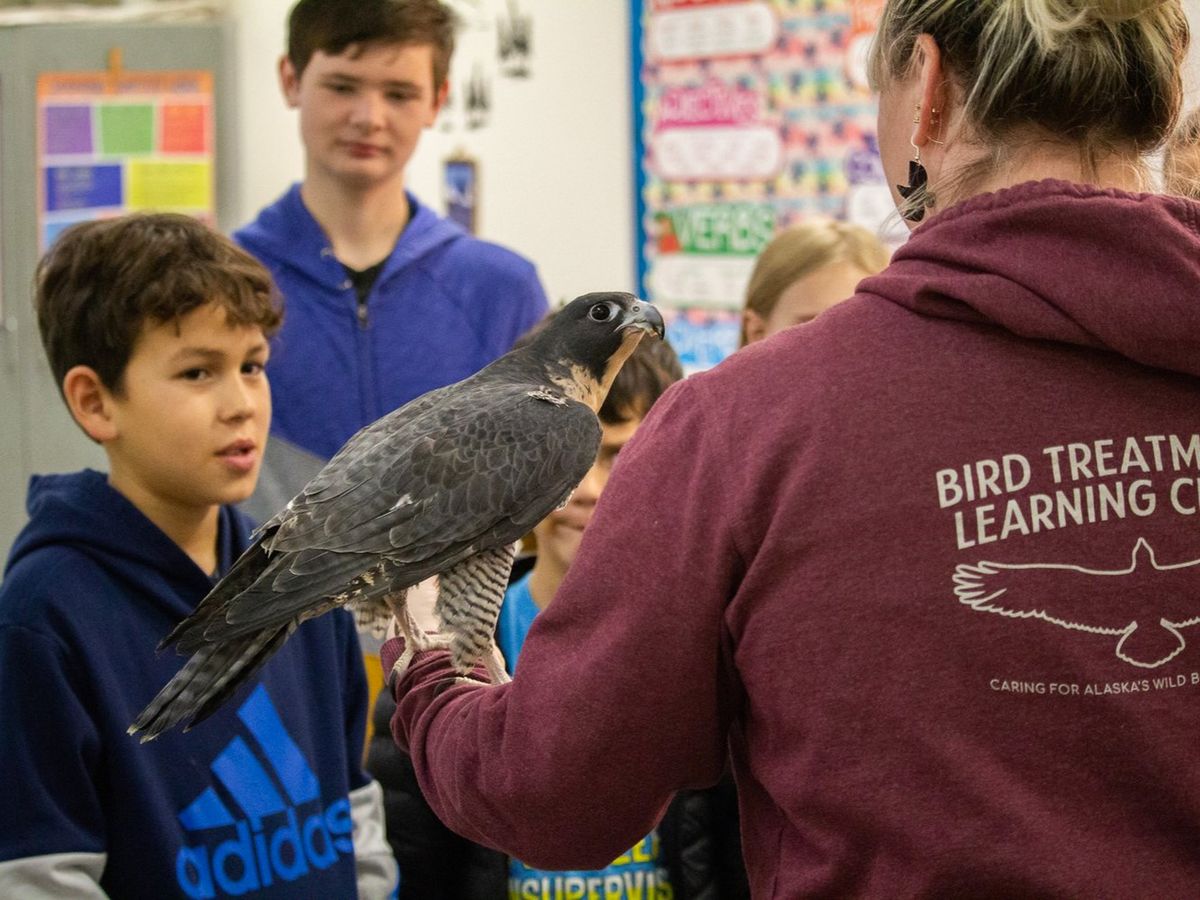 Bird TLC Ambassador Birds at the Garden