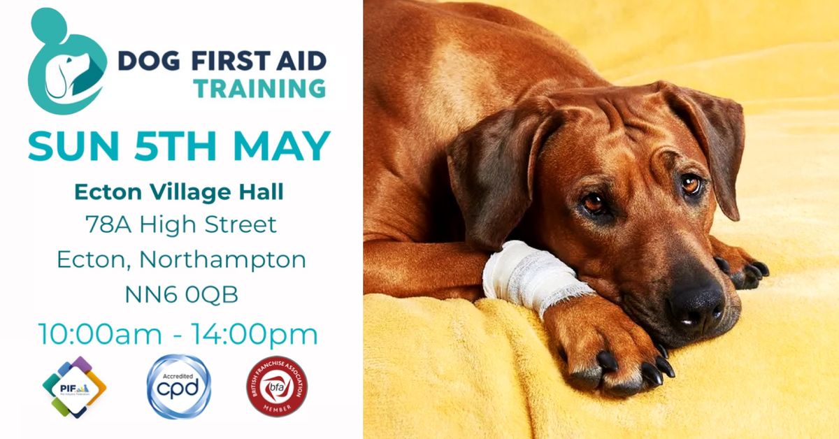 Ecton - Northampton Dog First Aid Course ?\u2764\ufe0f\u200d?