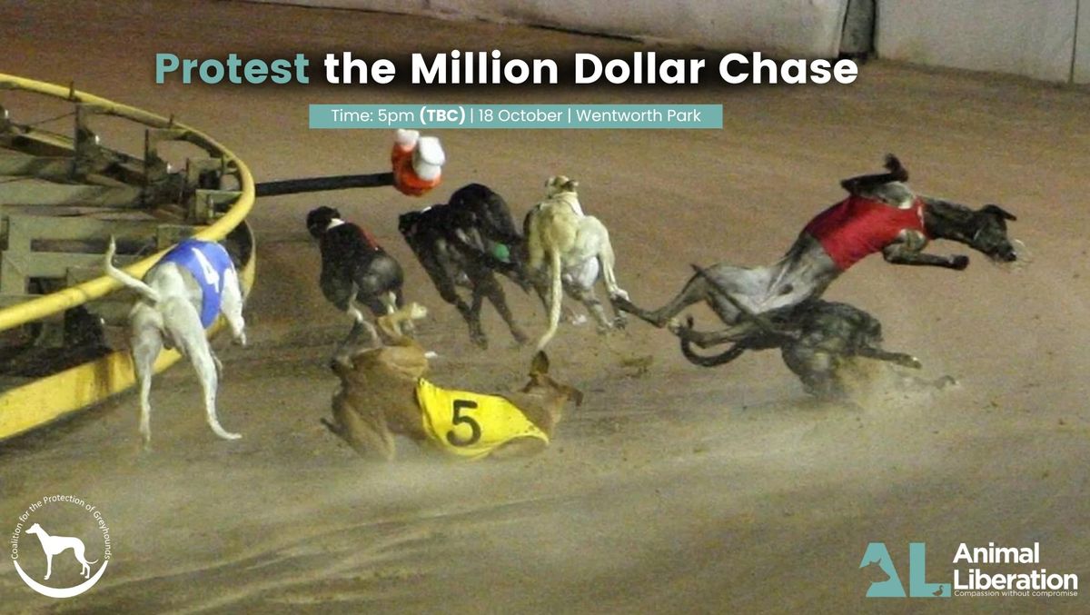 Protest the Million Dollar Chase