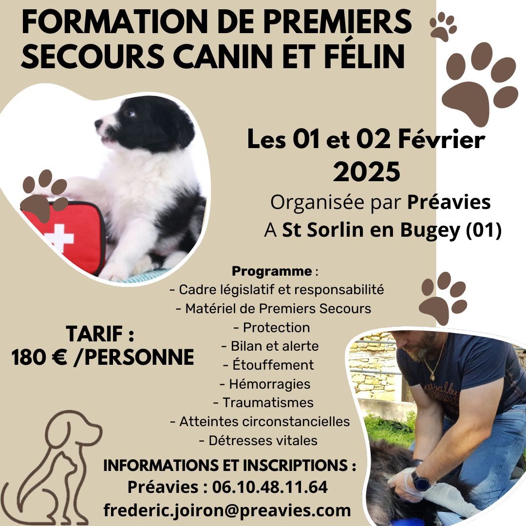 Formation Premiers Secours Canin et F\u00e9lin \u00e0 St Sorlin en Bugey (01)