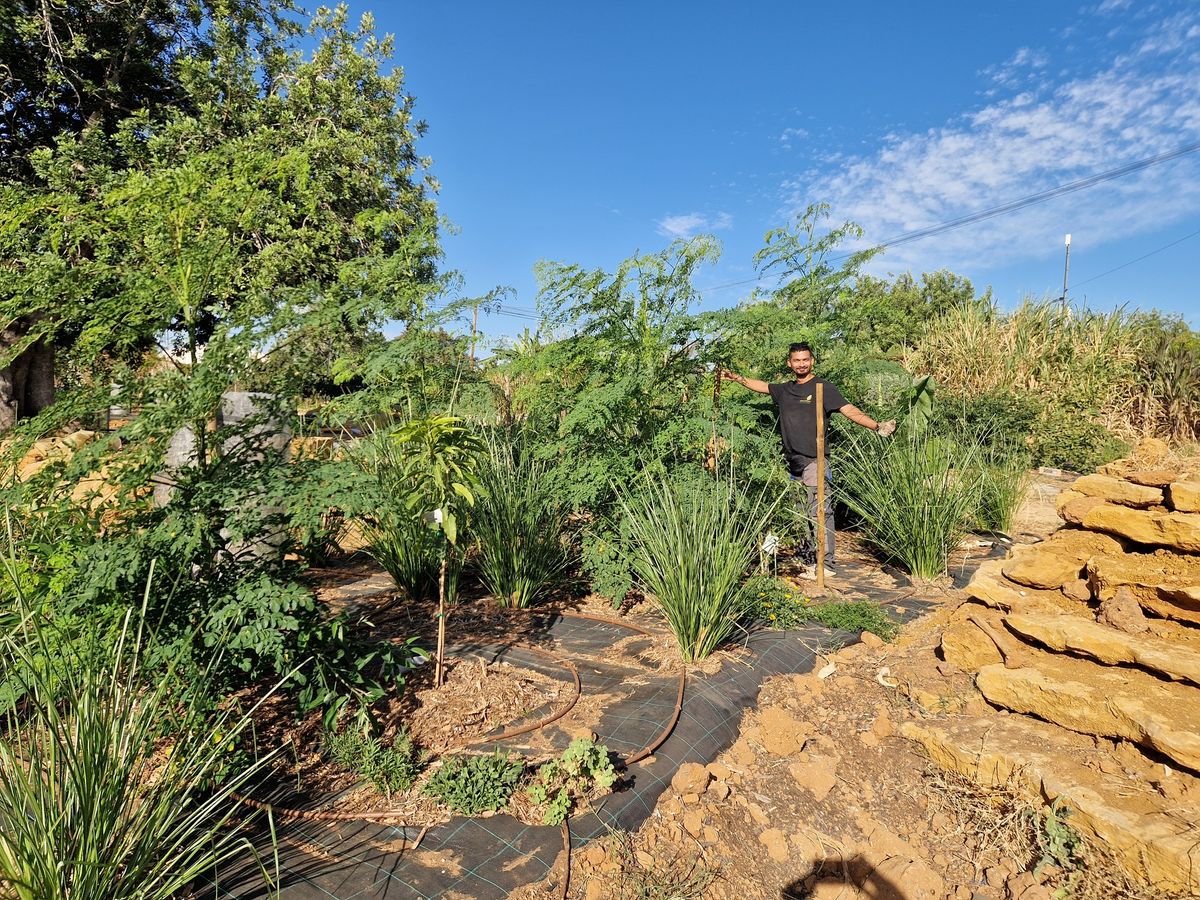 Workshop : The Cocoon Food Forest Approach \u2014 Foundation Course