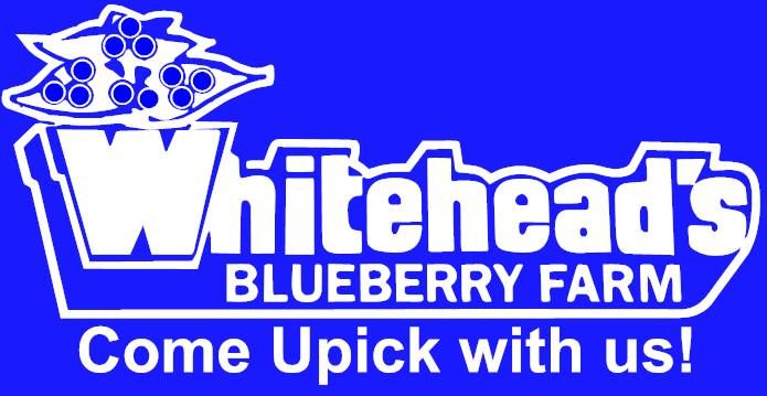 Whiteheads Blueberry Farm