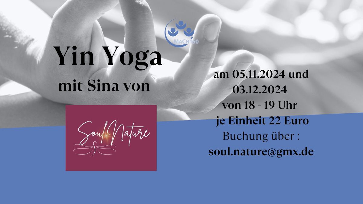 Yin Yoga mit Sina von Soul.Nature