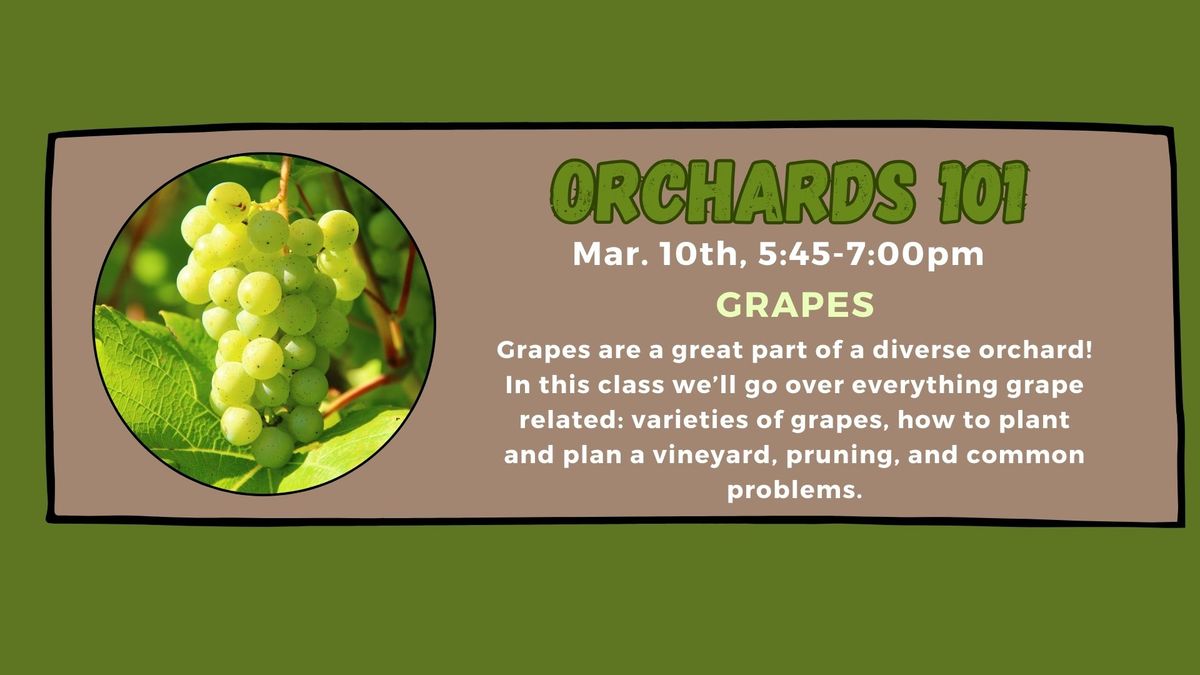 Grapes