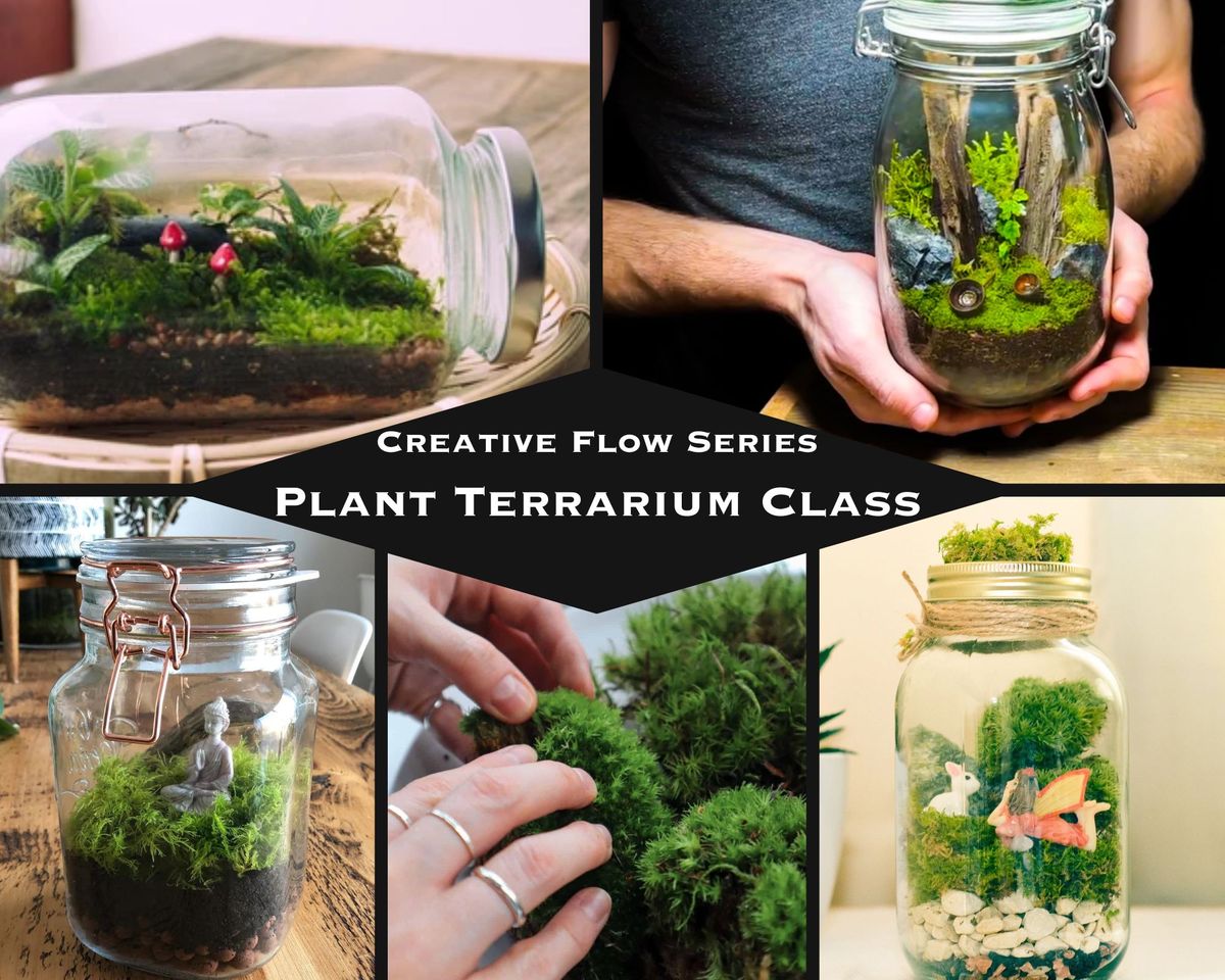 Plant & Sip: Terrarium Class w\/ Wine