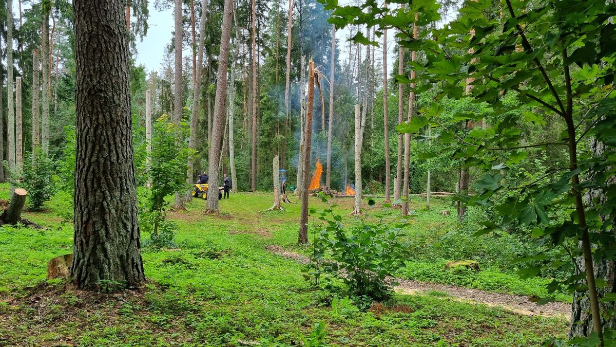 Kevadtalgud Sportland Elva discgolfipargis