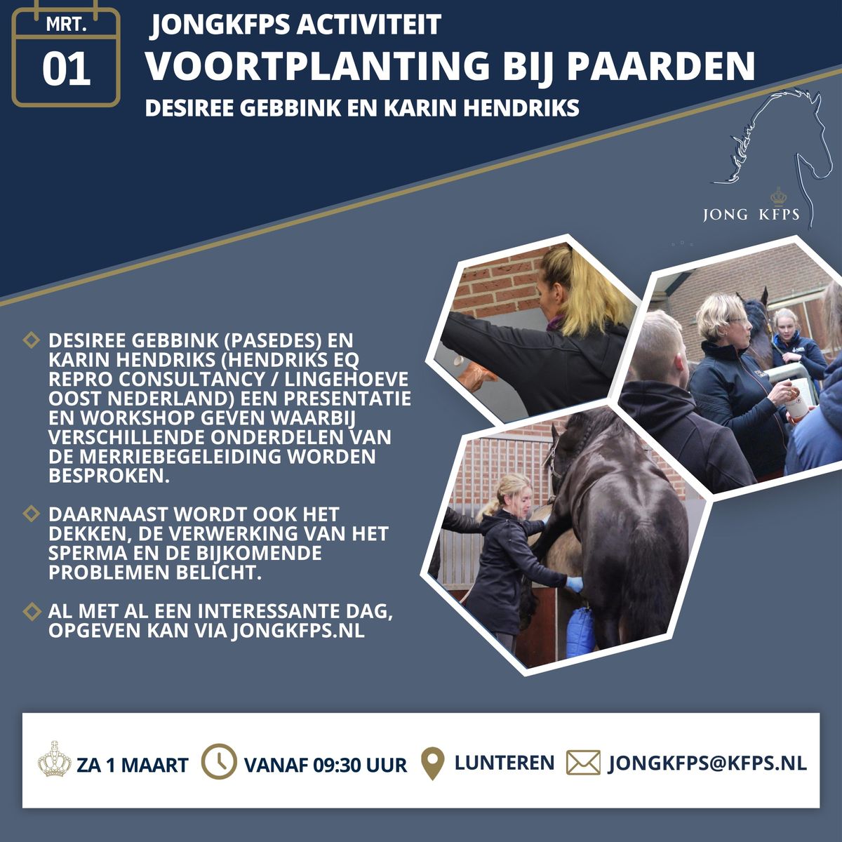 Voortplanting bij Paarden