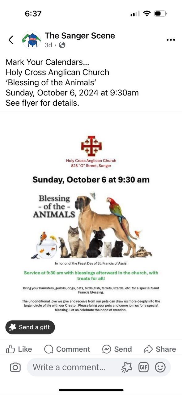 Blessing of the Pets