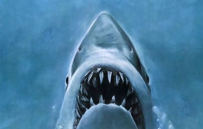JAWS (1975)