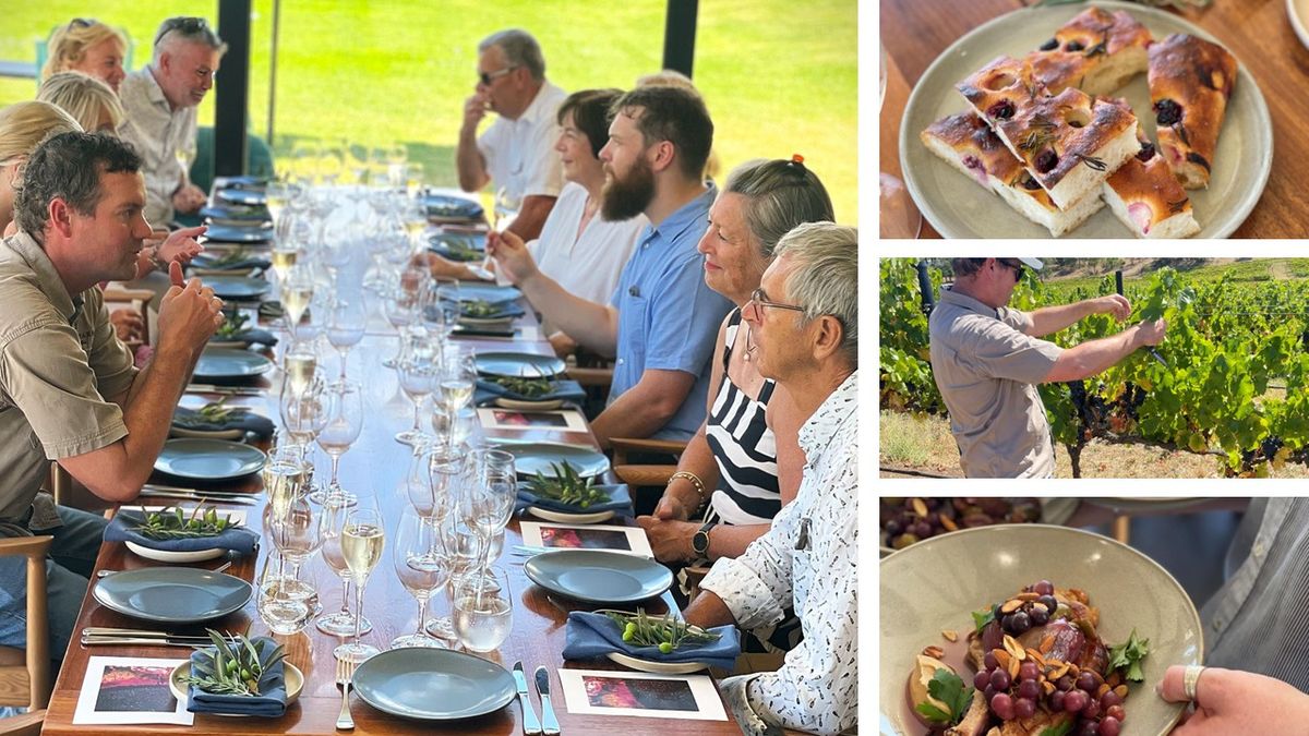 Harvest the Vines - Long Table Lunch and Vineyard Tour with Sophie Angove $125pp