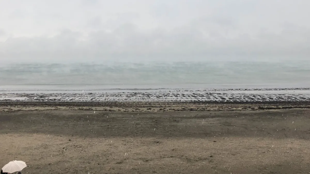 Casey Driessen in Asheville