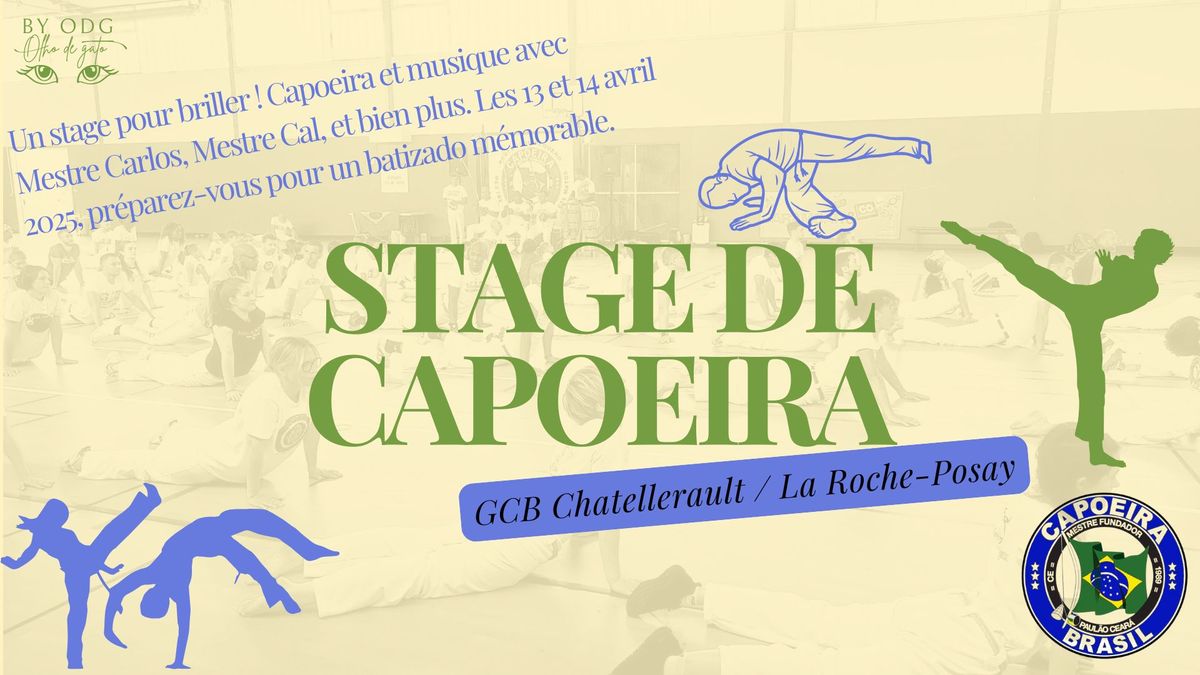 Stage annuel Grupo Capoeira Brasil Ch\u00e2tellerault \/ La Roche Posay \/ Chauvigny