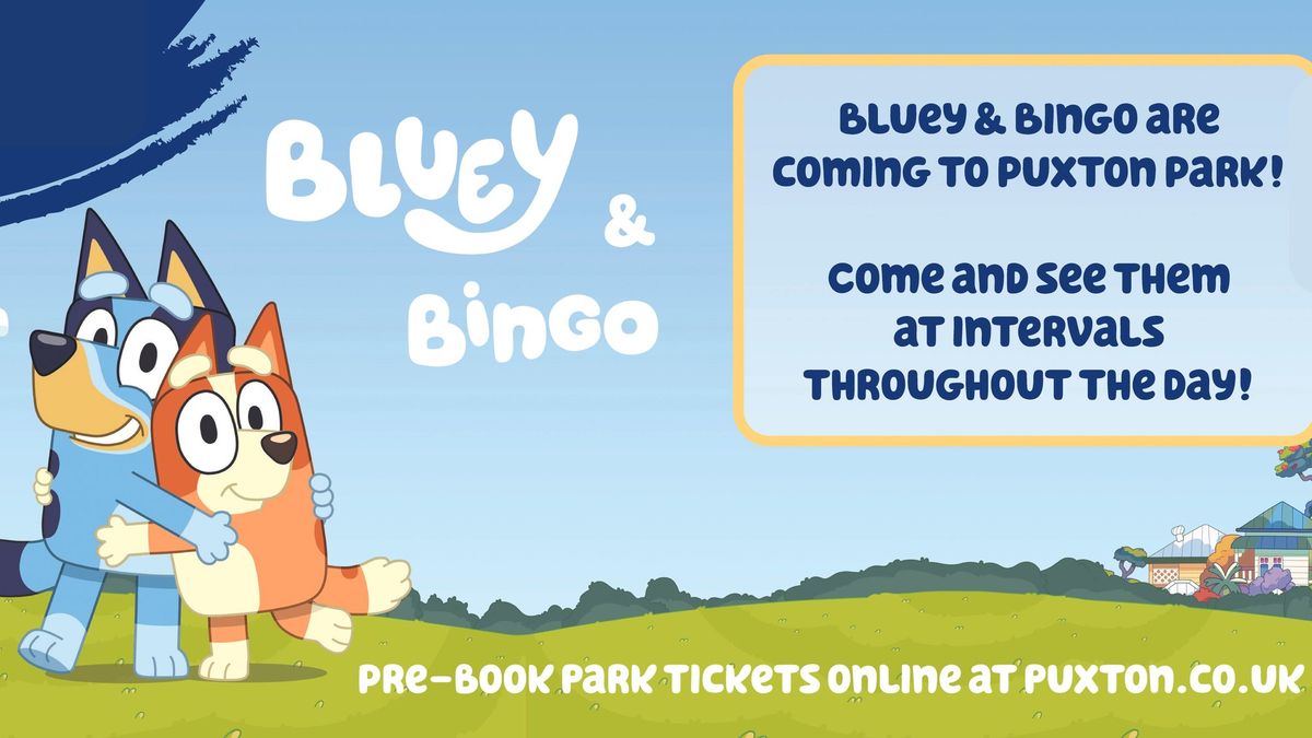 Bluey & Bingo at Puxton Park 