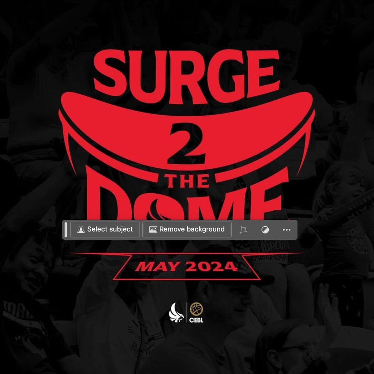 Join your Down syndrome friends and family at the Surge 2 the Dome game