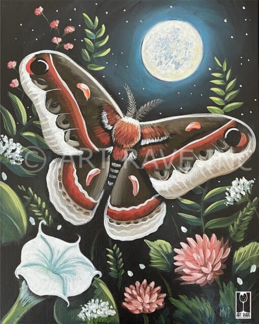 Midnight Moth Canvas 