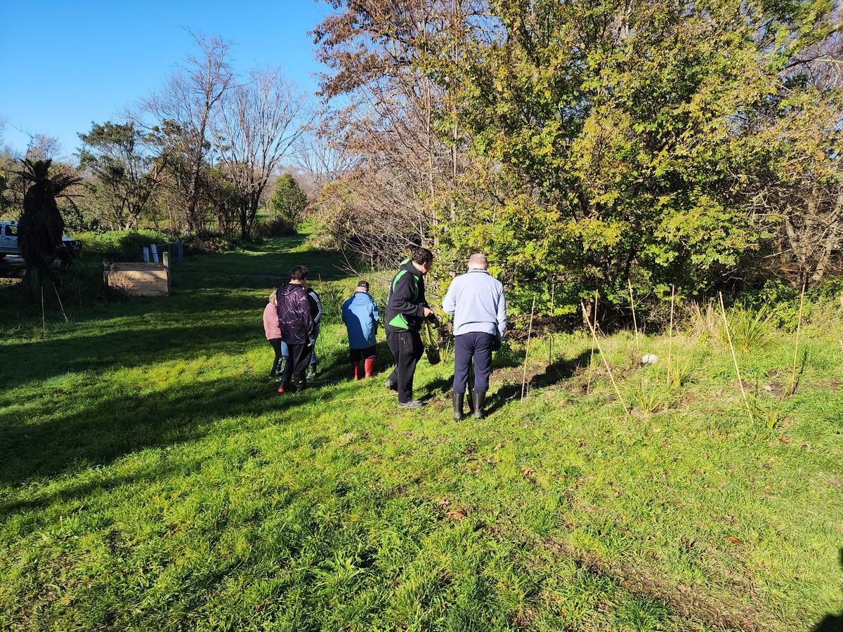 Dudley Stream Future Forest 