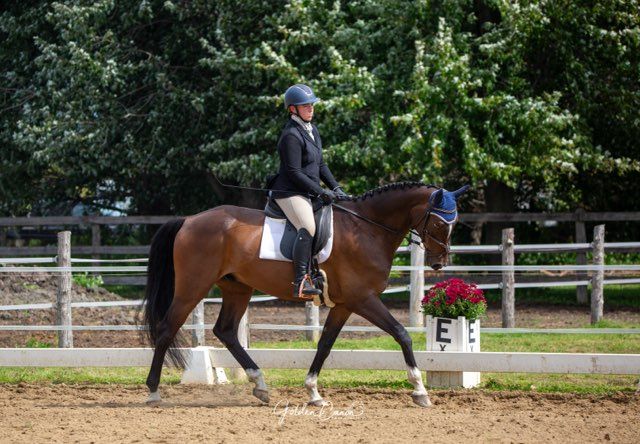 Quantum Farm Dressage Series #2