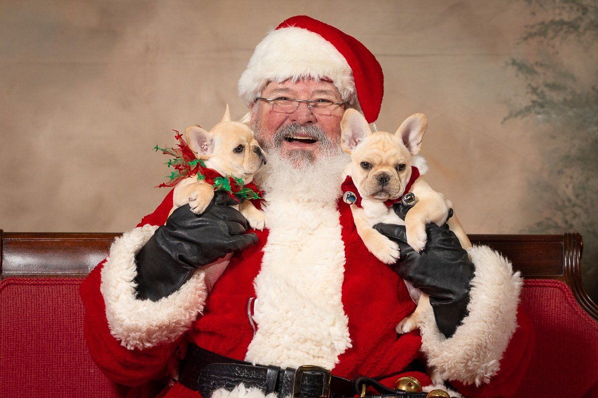 Portraits with Santa