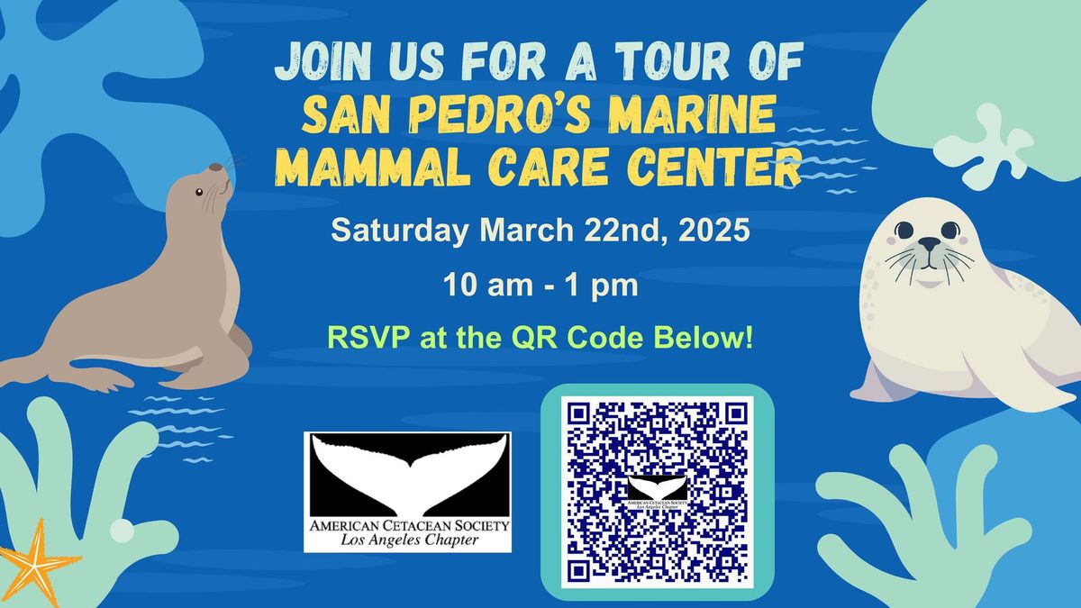 Marine Mammal Care visit in San Pedro!