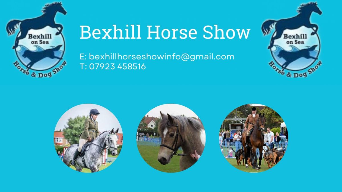 Bexhill Horse Show 2025