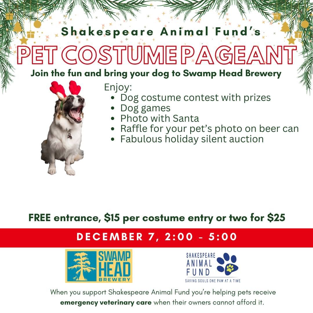 Holiday Pet Pageant