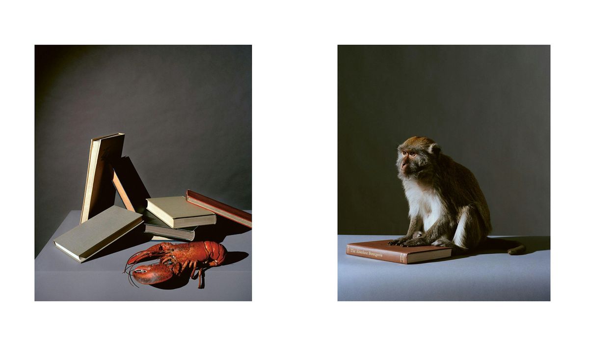 Olivier Richon & Darian Leader: 'The Devouring Eye'