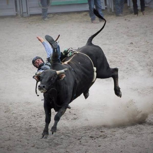 Warkworth Rodeo 2025