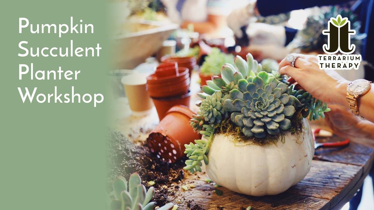 Pumpkin Succulent Workshop @ Crooked Hammock Brewery