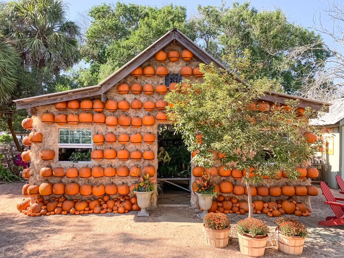 Pumpkin House and Pumpkin Palooza