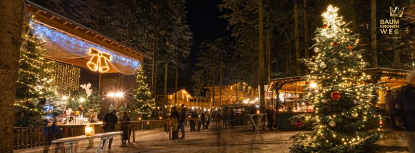 Waldweihnacht am Baumkronenweg 4. Adventwochenende