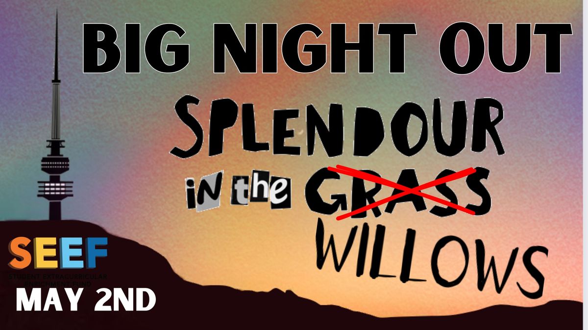 Big Night Out 2024: Splendour In The Willows 