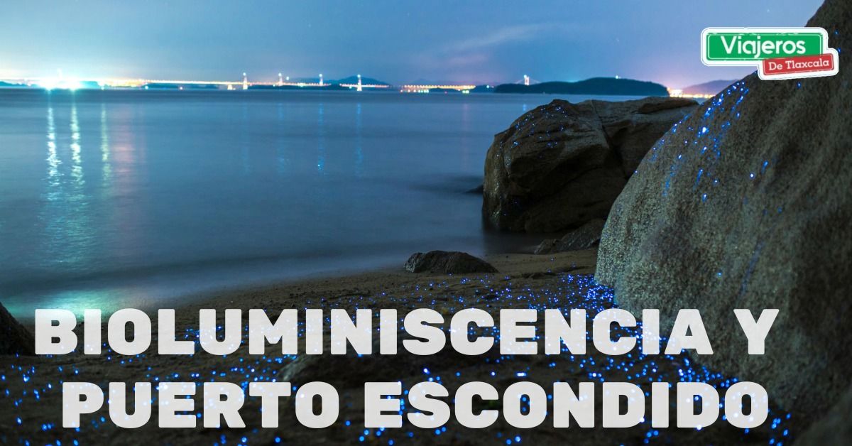 BIOLUMINISCENCIA Y PUERTO ESCONDIDO