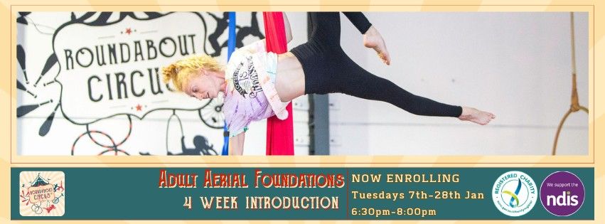 Adult Aerial Foundations - January workshops