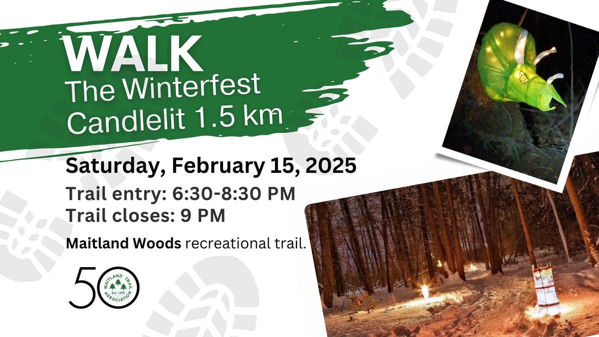 Winterfest Candlelit 1.5 km Walk