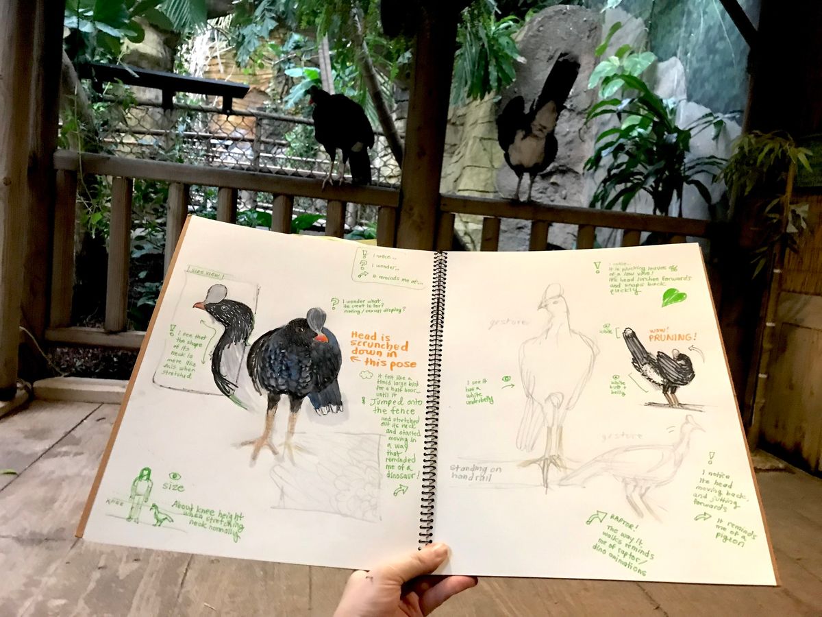 Zoo, indoor exhibits: Sketch, Write, Wonder