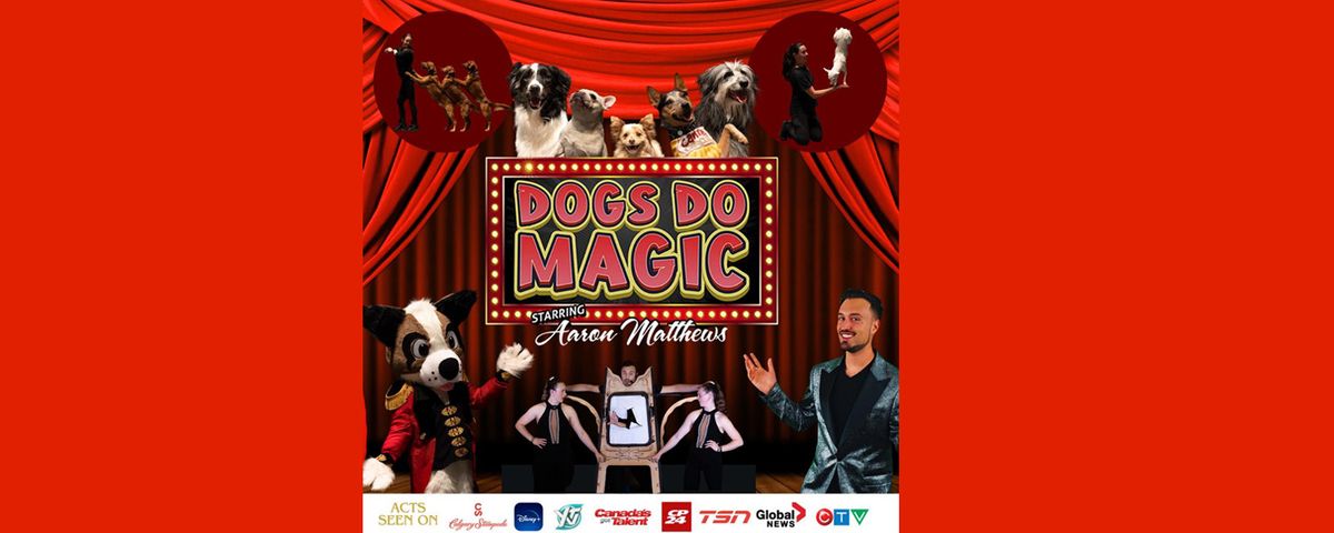 Dogs Do Magic at FLATO Academy Theatre