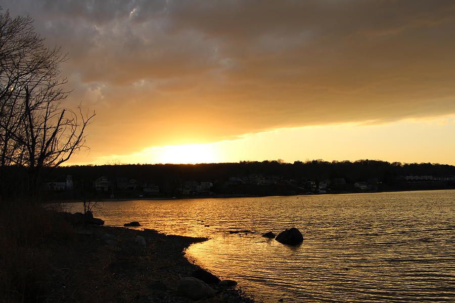 Community Cleanup - Chepiwanoxet Point