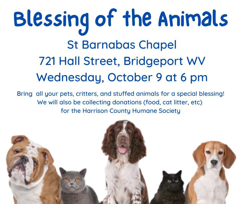 Blessing of the Animals 