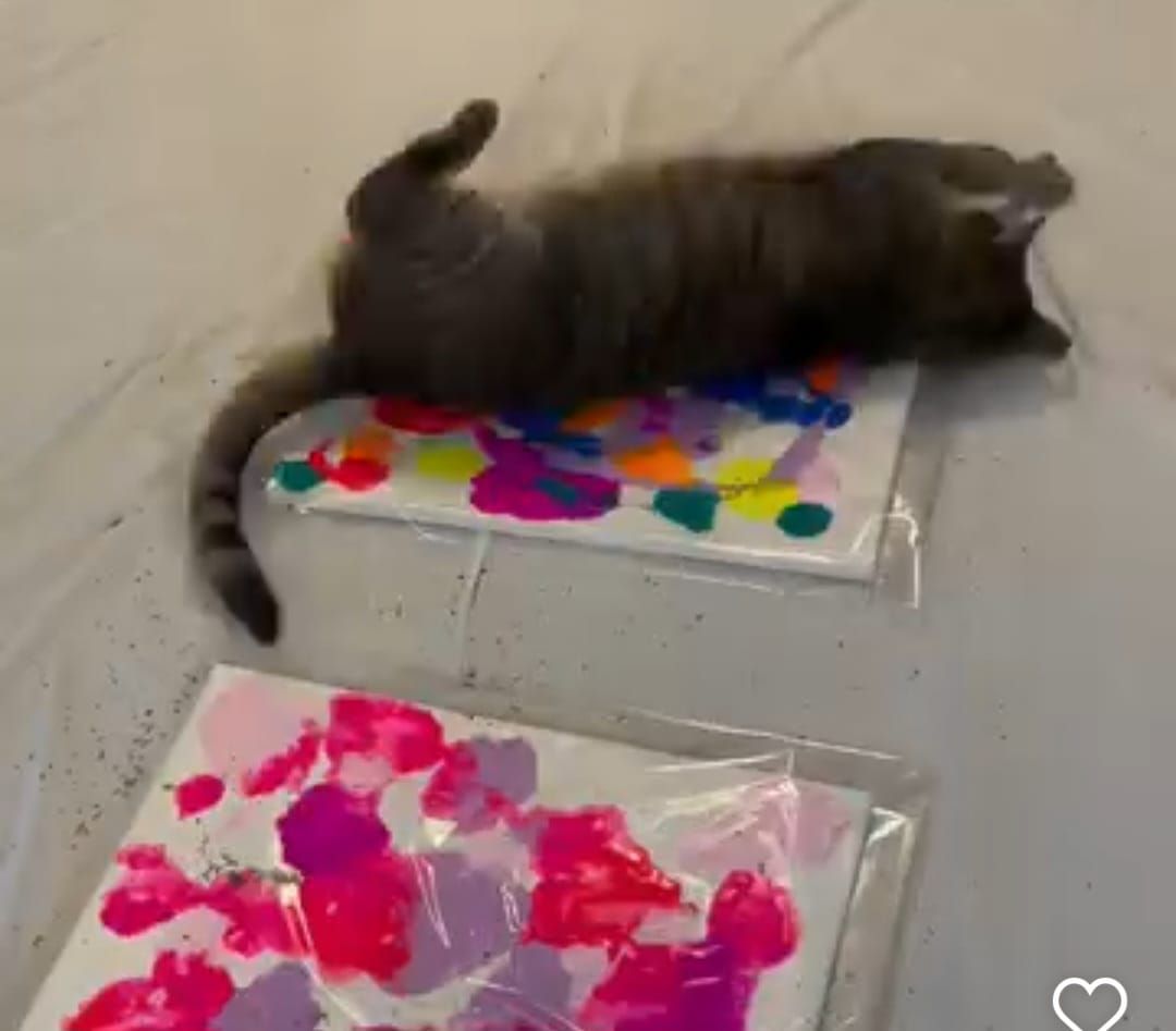 Nip & Paint: Painting By Kitties