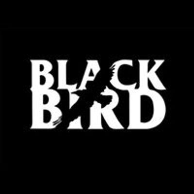 Black Bird