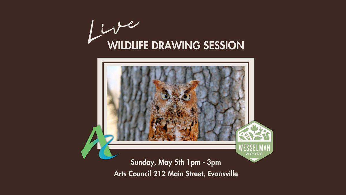 Live Wildlife Drawing Session (collaboration with Wesselman Woods)